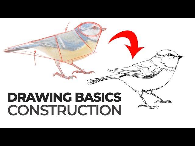 Drawing Basics - Construction