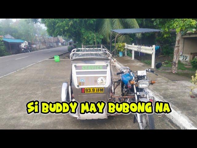 SI BUDDY TRIKE MAY BUBONG NA