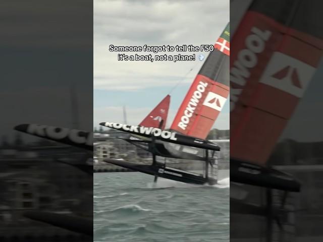 We thought it was going to take off! #SailGP #sailing #racing