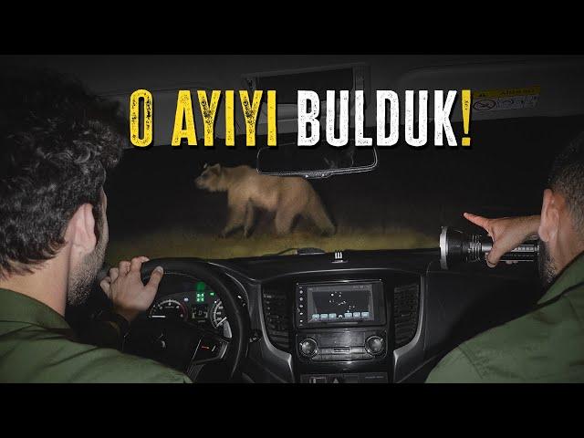 O AYIYI BULDUK! GECE SAFARİSİ