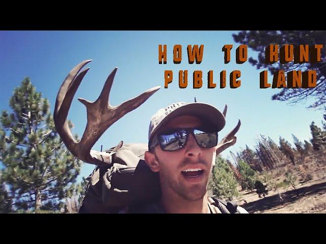 HOW TO HUNT California Deer - HUNTING TIPS, Archery and General Season || CACCIA OUTDOORS