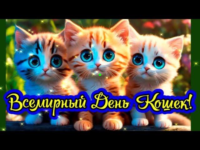 Самое красивое поздравление с Международным Днем Кошек! Cat Day! День Кошек!