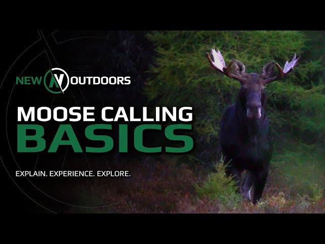 Improve your Moose Calling! | Quick Tip