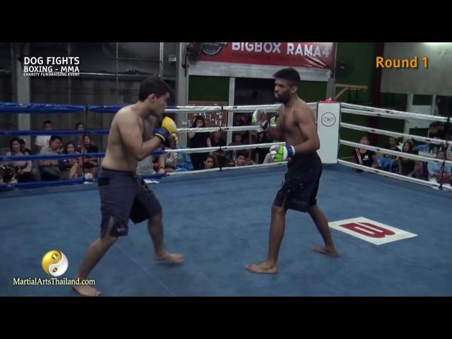 Shahid Siddique VS "The Billotine" William Thomas May - MMA - "Dog Fights" 2017 RAW VIDEO