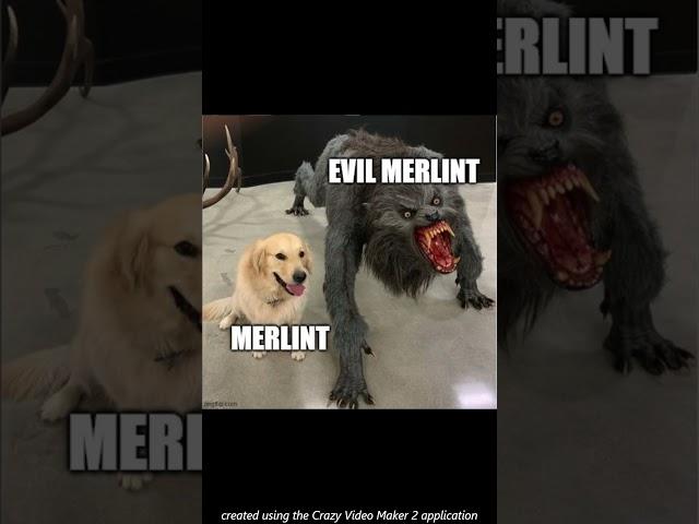 Merlint Memes 4