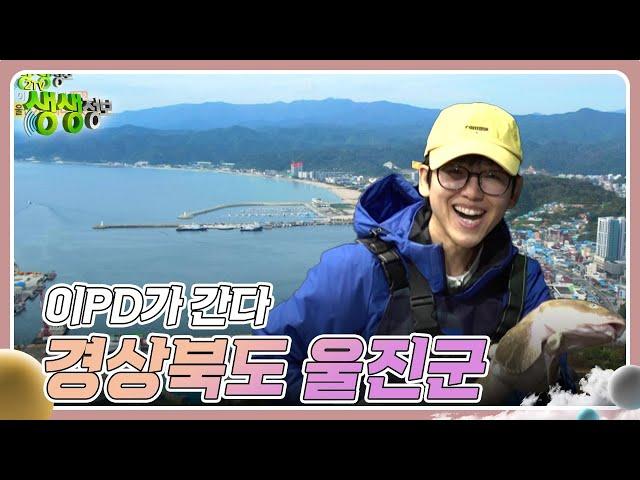 이PD가 간다 : 경상북도 울진군 [2TV 생생정보] | KBS 241106 방송