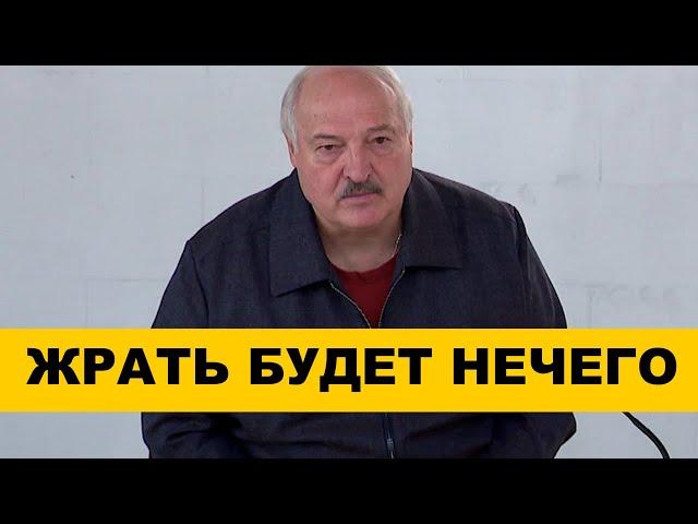 Лукашенко ВЗОРВАЛСЯ / Беларусь в опасности?! Народные Новости