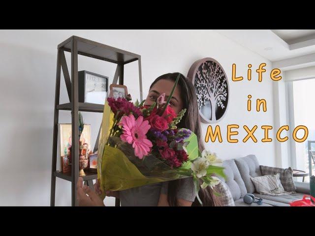 Life in Mexico  Walmart Haul, Birthday surprise, Baking, Exploring city and more