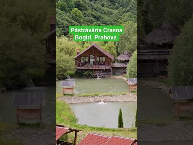 Păstrăvăria Crasna Bogiri, Prahova