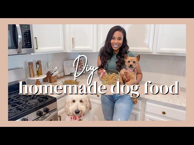 VET APPROVED HOMEMADE + HEALTHY DOG FOOD RECIPE | COOKING FOR YOUR DOG // LoveLexyNicole