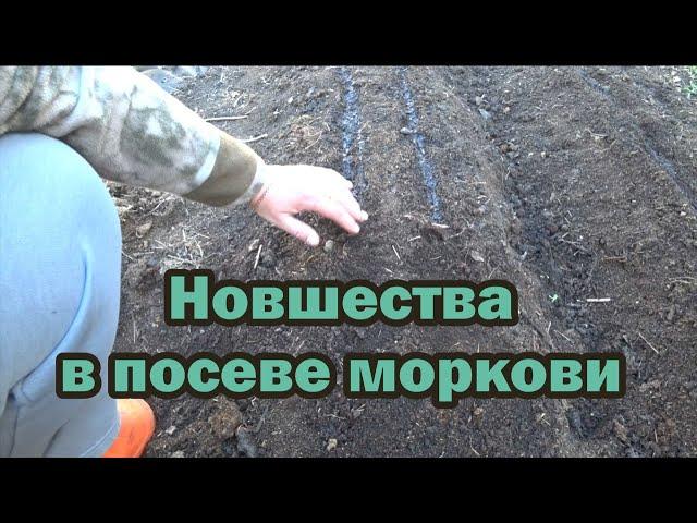 Не перестаю восхищаться этим способом сева моркови