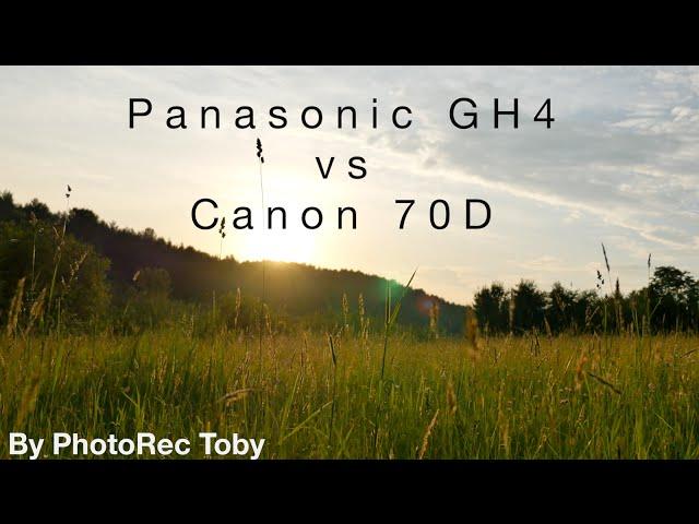 Panasonic GH4 vs Canon 70D