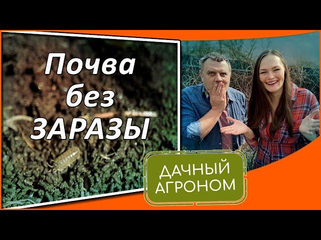 Осторожно! Обеззараживание почвы осенью! Как обеззаразить почву без проблем