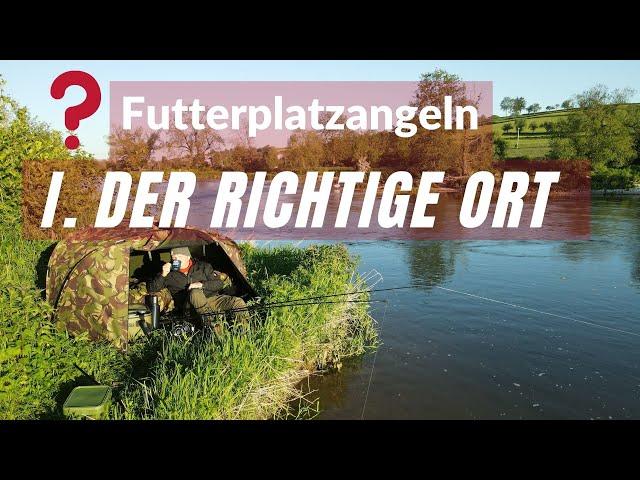 Karpfenangeln auf Futterplätzen - I. Der richtige Ort