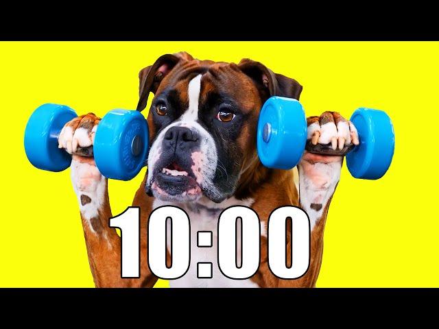 10 Minute Timer (DOG HEAVEN) 