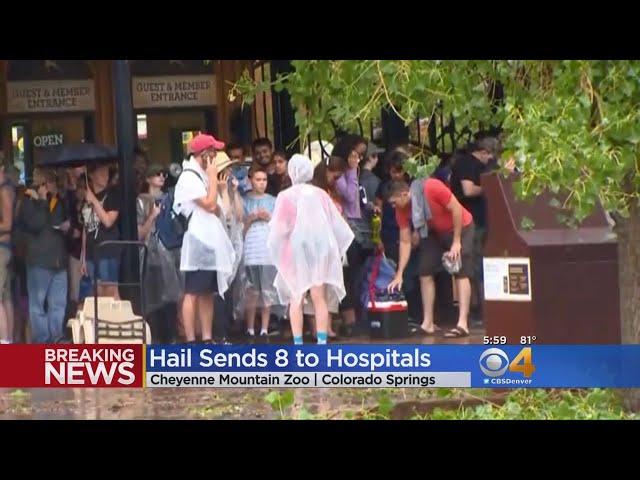 Baseball-Sized Hail Injures Zoo Visitors, Kills Two Zoo Animals