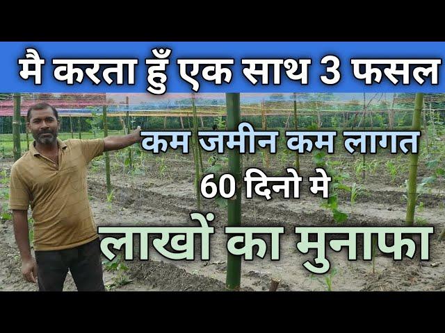 कम लागत  कम जमीन में एक साथ तीन फसल/मिश्रित खेती के लाभ/mixed farming