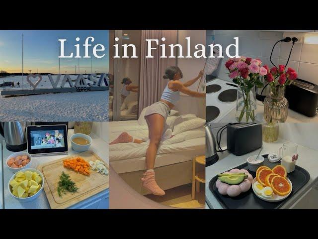 Days in my life in Finland | Living alone diaries | Grocery shopping,cooking | life of an introvert