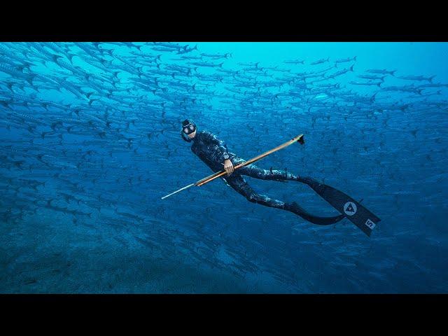 Spearfishing In A David Attenborough Documentary