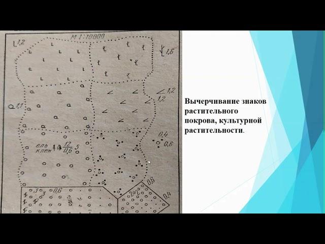 Условные знаки для топографических карт, их виды, применение,характеристика.