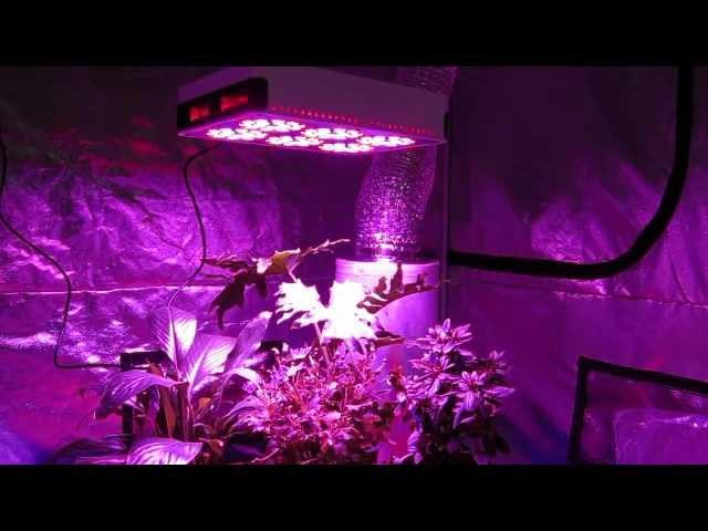 GrowAce.com - REVIEW 270w LED Advance Spectrum MAX Modular Grow Light Product Overview