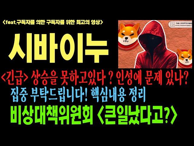 시바이누 시바이누코인 시바이누코인전망 SHIB DOGE 코인전망 비트코인 이더리움 도지코인