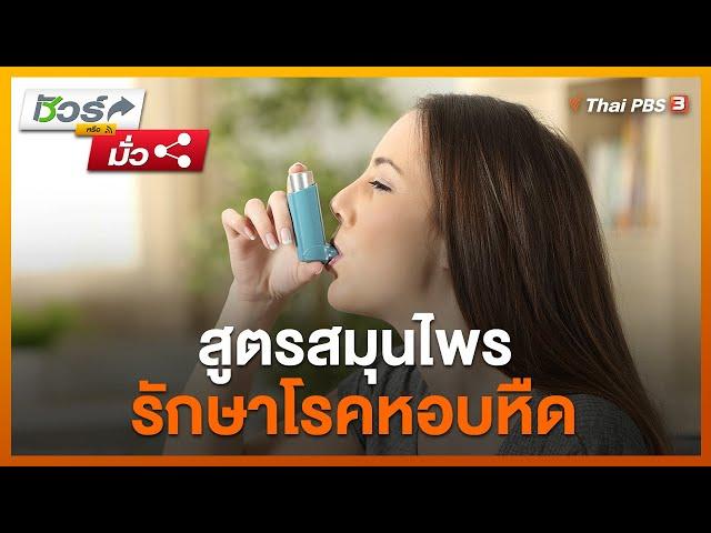 สูตรสมุนไพรรักษาโรคหอบหืด : ชัวร์หรือมั่ว