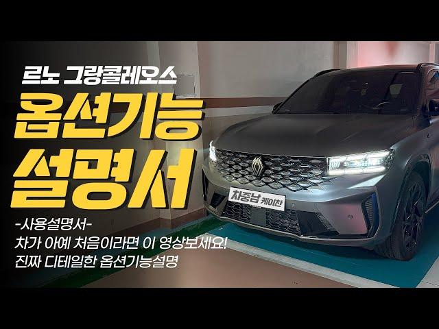 르노 그랑콜레오스 옵션기능 사용법! 초보자를 위한 진짜 디테일한 옵션 기능설명!
