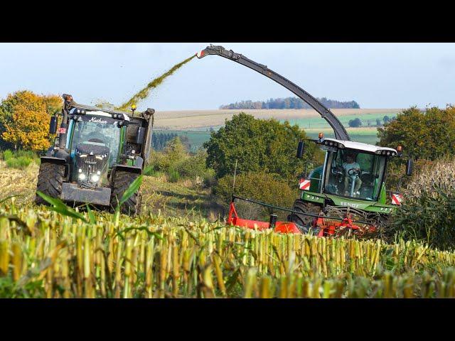 Mais 2024 | Fendt 942 Vario | Silage in The Ardennes | Fendt Katana 650 | Lapraille