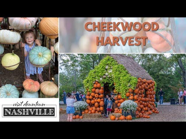 Cheekwood Harvest - Don't Miss This Event!