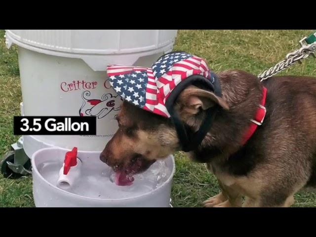 Automatic Dog Water Dispenser