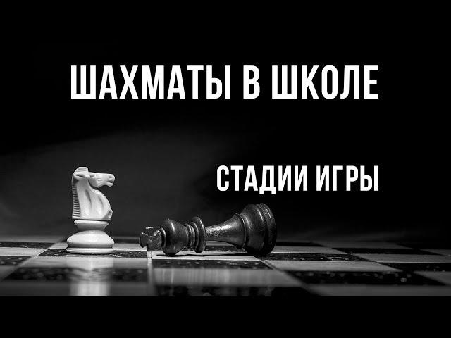 Шахматы в школе: стадии игры