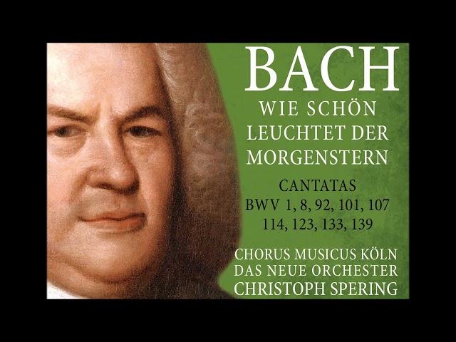 J. S. Bach – Cantatas BWV 1,8,92,101,107,114,123,133,139 – Ch. Spering (3CD - 2024)