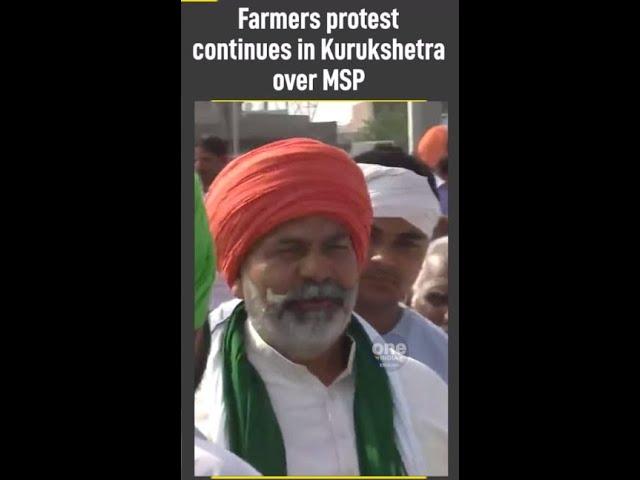 Farmer's Protest continues in Haryana's Kurukshetra over MSP #shorts