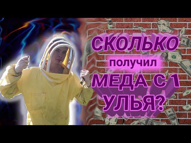 И ЭТО ТОЛЬКО 1 УЛЕЙ! Сколько забрал меда с улья ? Пчеловодство