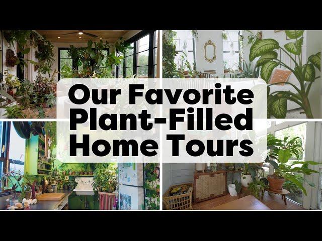 Our Top Plant-Filled Home Tours | Handmade Home