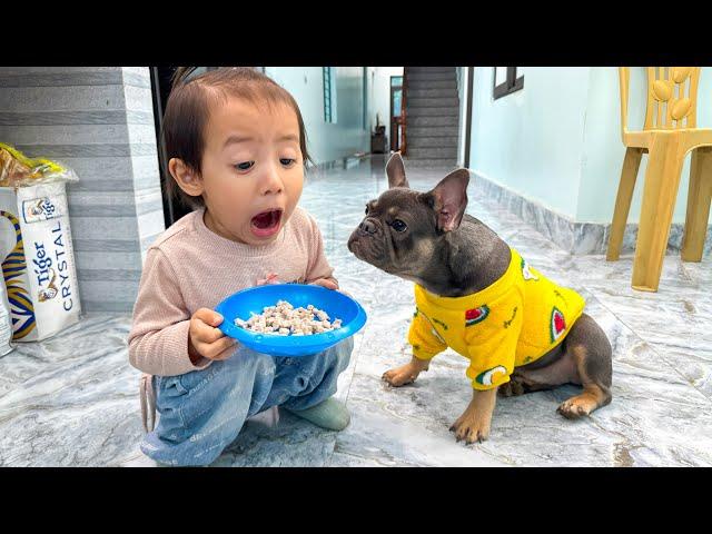 Diem blows on my dog's food to cool it down, looking so cute!