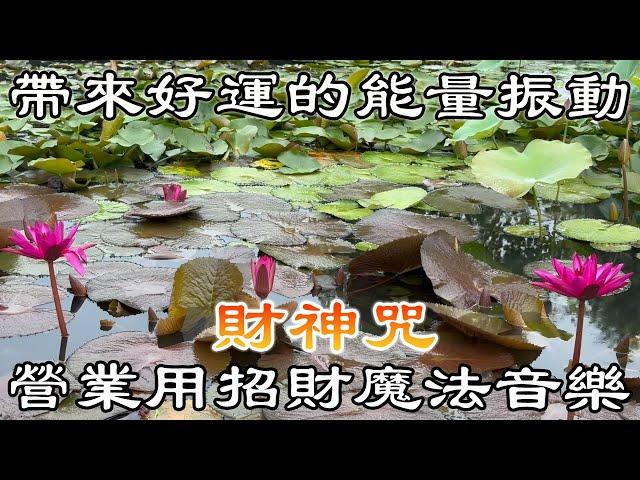 帶來好運的能量振動營業用招財魔法音樂  招財進寶 | 運氣加倍 【財神咒】財富 福德 延壽 智慧 , 財源廣進,客來,錢來,好運旺旺來 | 招財音樂