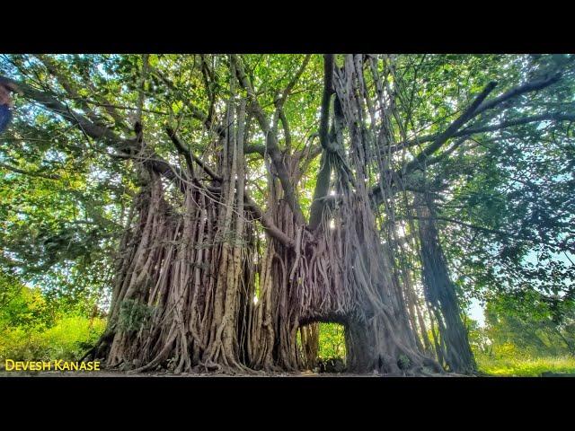 Unchkhadak: Exploring the Untold Stories of Junnar | An Epic Village Documentary | Junnar Tourism"