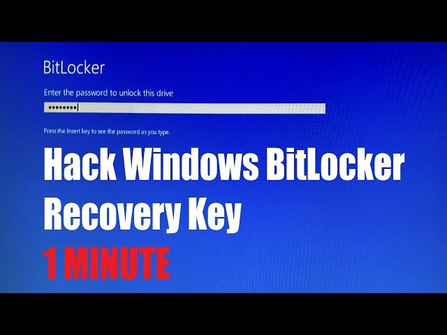 Unlock, Turn off and Bypass the Windows BitLocker in ONE MINUTE | If You are WELL PREPARED