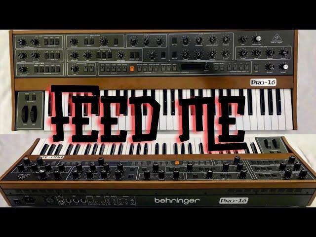 Behringer Pro 16 = Prophet 5 Clone // Sell my Korgs // Sunday Synthesizer Talk