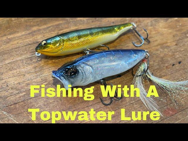 How To Fish Topwater Lures