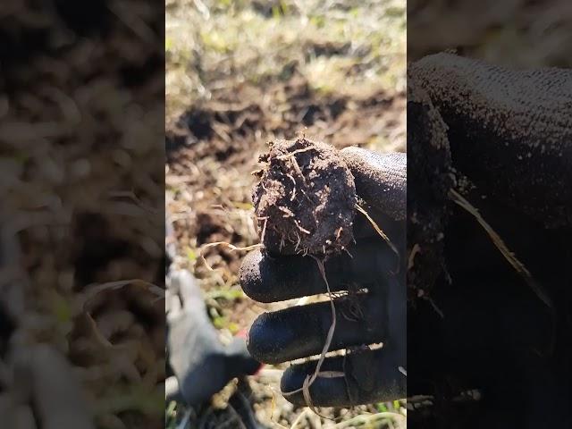 Коп с металлоискателем