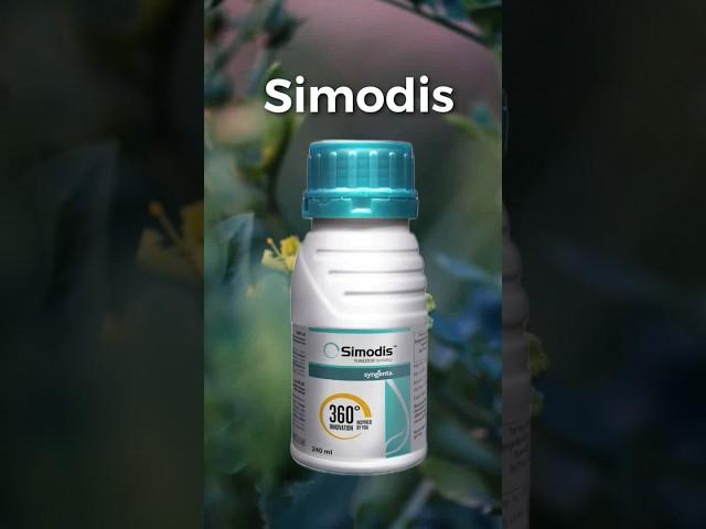 SimodisSyngenta|new 2023 insecticide|#syngenta #insecticide #farming #agriculture#shetkari #shorts