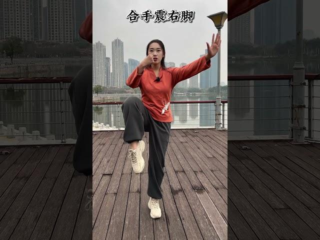 每天跟我学三个动作，零基础也能学会太极拳 #太极 #零基础学太极 #太极发力 #发扬传承精武精神 #弘扬中华武术 ©诩小侠