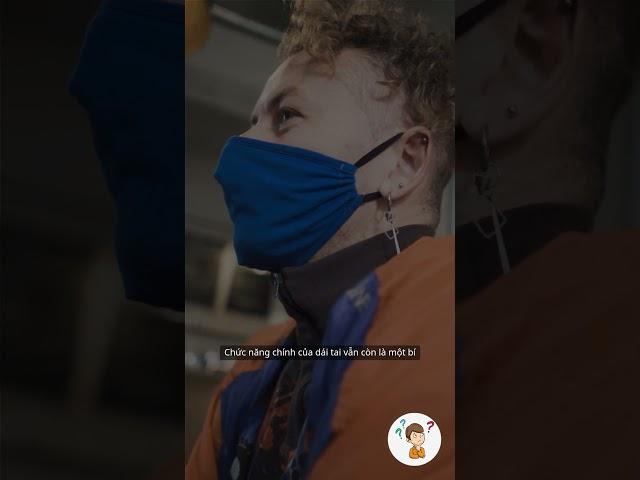 Vì sao tai người lại có dái tai?