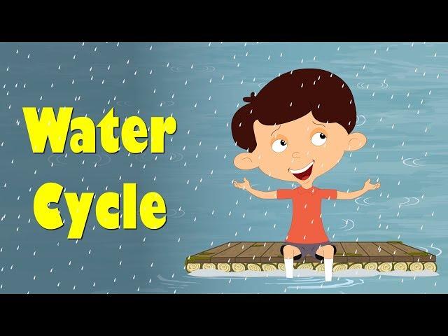 Water Cycle | #aumsum #kids #science #education #children