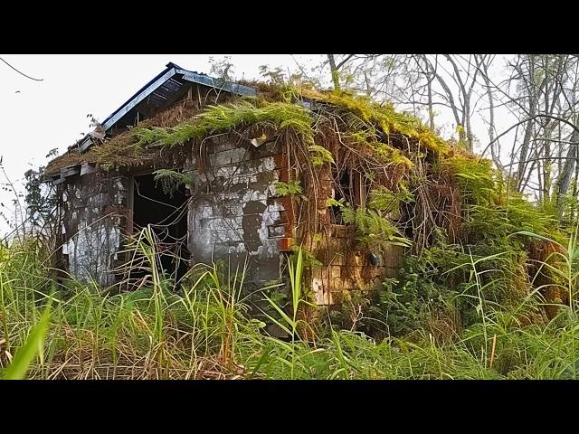 Three Men Clean 70-Year-Old Buried House and Give It a Second Life for Free | by @Cleantheoldhouse