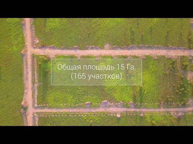 Дачный посёлок Лесная опушка с высоты птичьего полета
