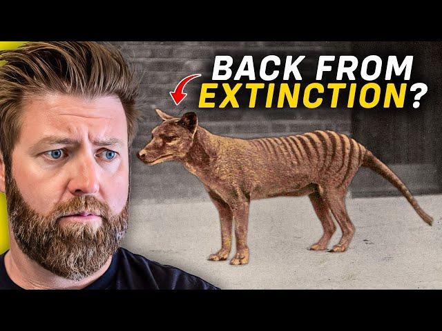 Is the Tasmanian Tiger REALLY Coming Back From Extinction?